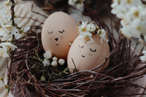 Single Project Image