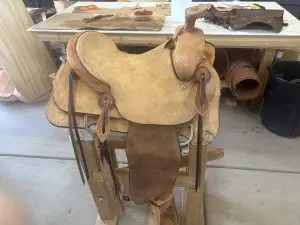Arizona Ranch Roper