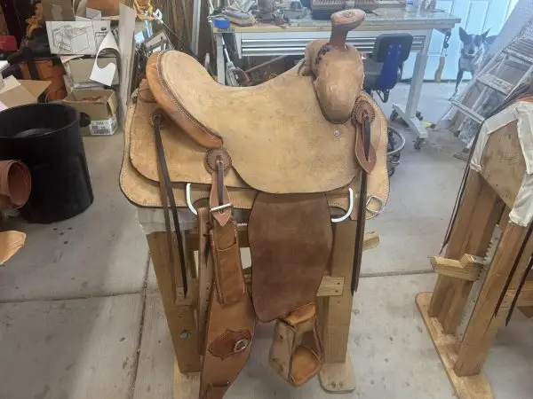 Arizona Ranch Roper