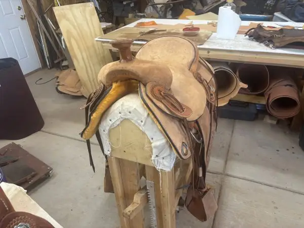 Arizona Ranch Roper